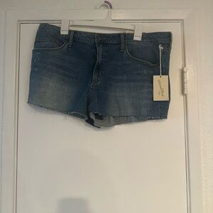 Plus Size Blue Denim Shorts- Universal Thread
